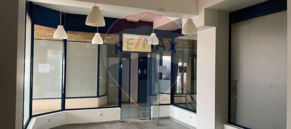 Gewerbliche Immobilie in Espinho, Portugal 2115m², Nr. 67908 7