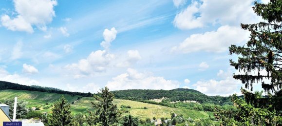 14 rooms House in Dobling, Austria No. 178929 6