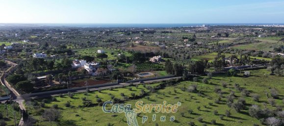 3 rooms Villa in Gallipoli, Italy No. 237782 7