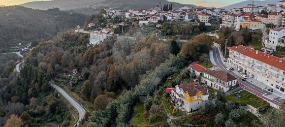 4 Schlafzimmer Haus in Castro Daire, Portugal, Nr. 19079 7