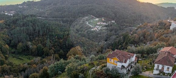 4 Schlafzimmer Haus in Castro Daire, Portugal, Nr. 19079 8