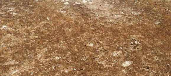 5 bedrooms House in Montehermoso, Spain No. 119527 15