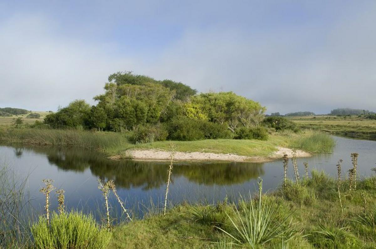 Bauernhof in Maldonado, Uruguay 37m², Nr. 14900