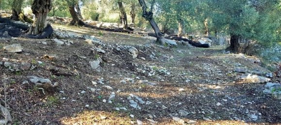 2-Zimmer Hotel in Corfu, Greece, Nr. 5367 19