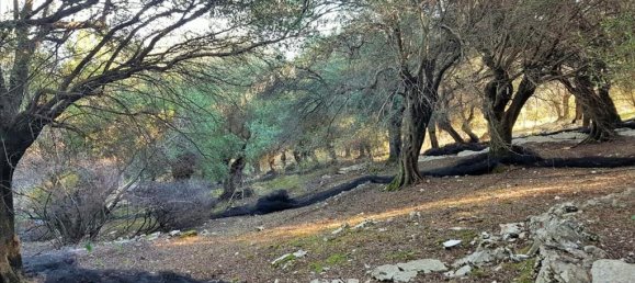 2-Zimmer Hotel in Corfu, Greece, Nr. 5367 16