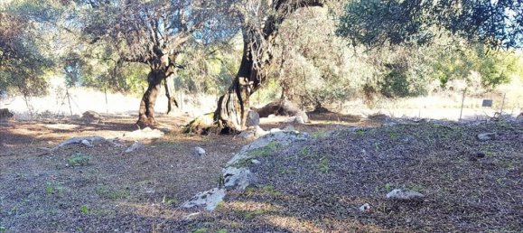 2-Zimmer Hotel in Corfu, Greece, Nr. 5367 15