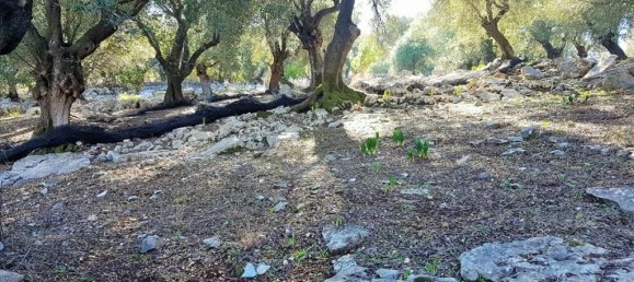 2-Zimmer Hotel in Corfu, Greece, Nr. 5367 20