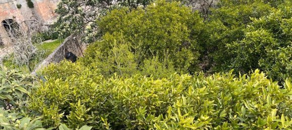 9-salle Maison à Sogliano Cavour, Italy No. 110168 30