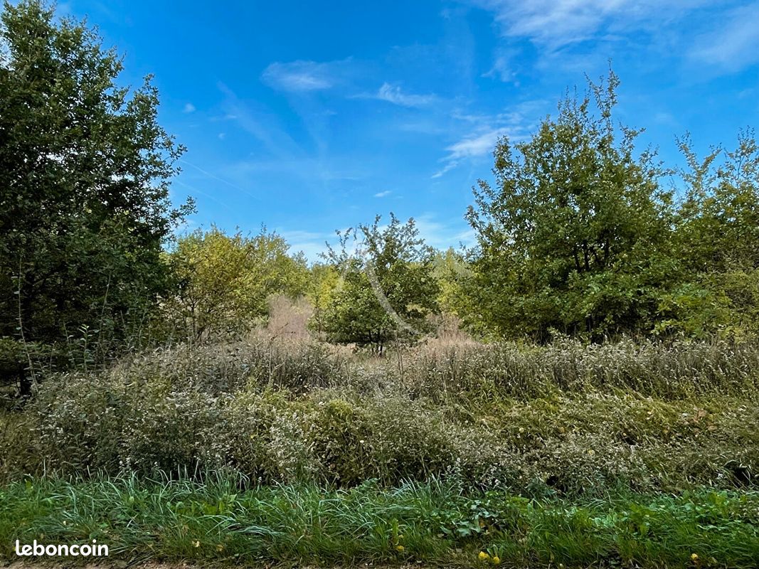 2029m² Land in Romorantin-Lanthenay, France No. 81813