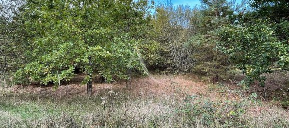 2029m² Land in Romorantin-Lanthenay, France No. 81813 2