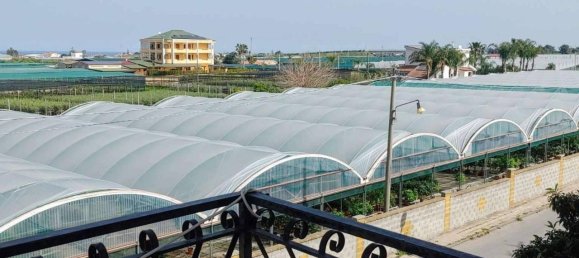 5 rooms Apartment in Terme Vigliatore, Italy No. 71550 10