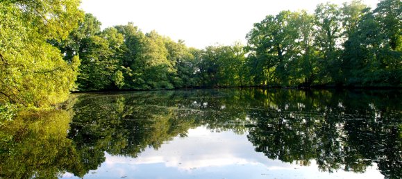 10-Zimmer Villa in Oldenburg, Germany, Nr. 154571 20