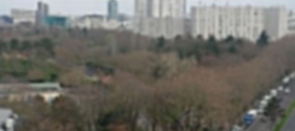 2 bedrooms Apartment in Issy-les-Moulineaux, France No. 182750 4