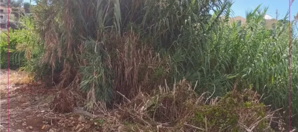 Земельный участок в Фуншал, Португалия № 151139 2