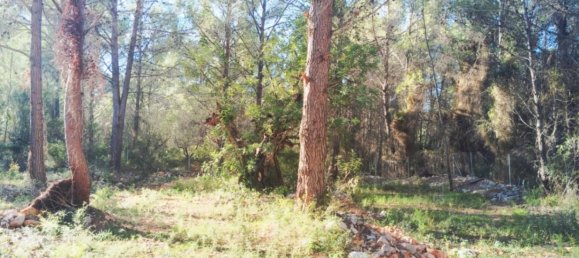 2 غرف نوم منزل في Parcent, Spain رقم 42354 22