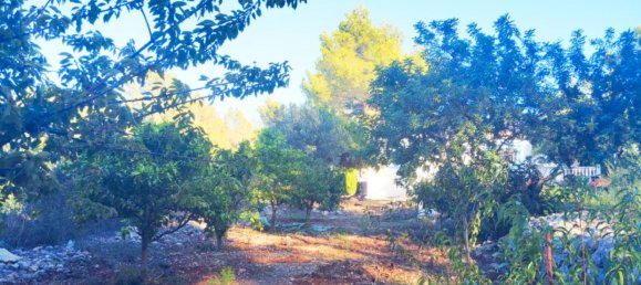 2 غرف نوم منزل في Parcent, Spain رقم 42354 28