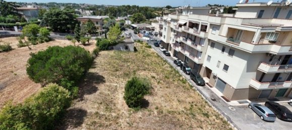 8 rooms House in Martina Franca, Italy No. 287796 15