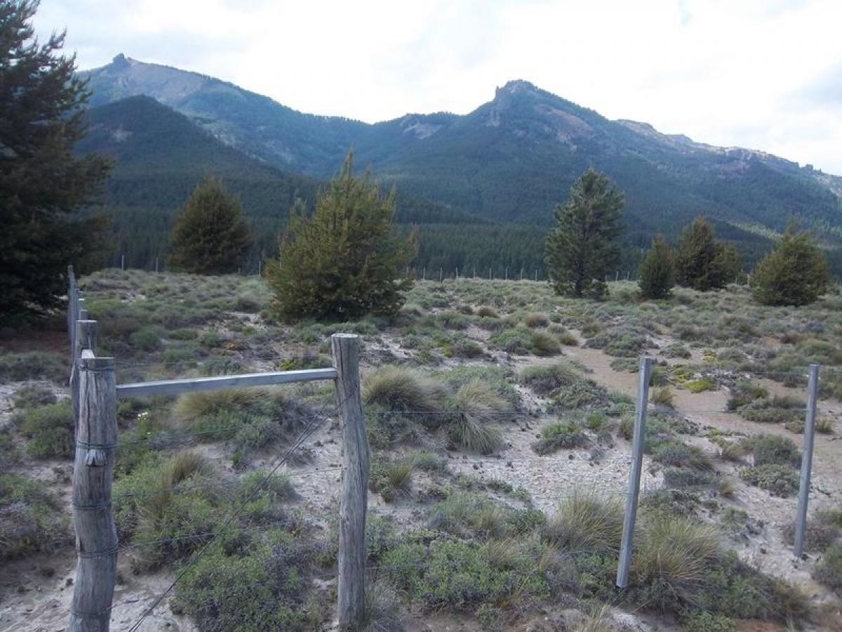  Land in Neuquen, Argentina No. 46089