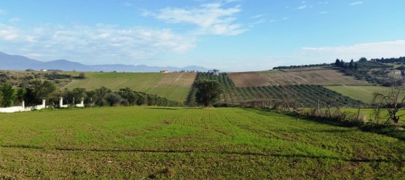 8194m² Hotel in Thermaic Gulf, Greece No. 6900 4