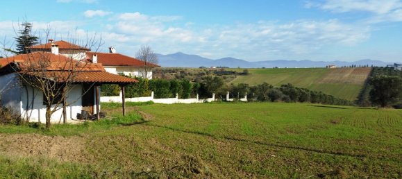 8194m² Hotel in Thermaic Gulf, Greece No. 6900 2