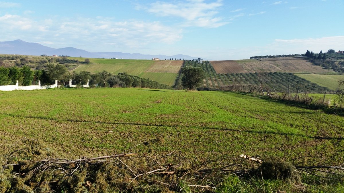 8194m² Hotel in Thermaic Gulf, Greece No. 6900