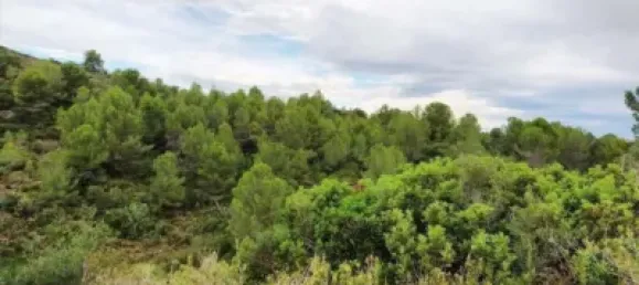 Land in Alicante, Spain No. 134884 2