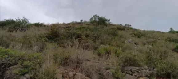 Land in Alicante, Spain No. 134884 10