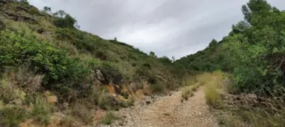 Land in Alicante, Spain No. 134884 7