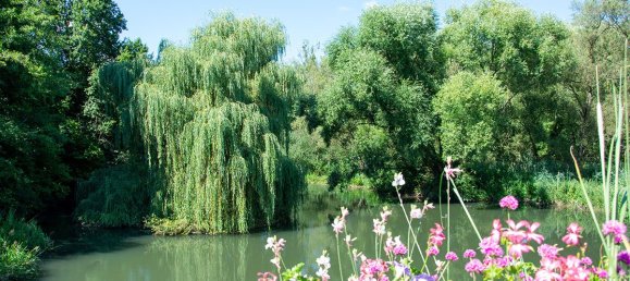 Casa T3 em Drusenheim, France N.º 92698 7