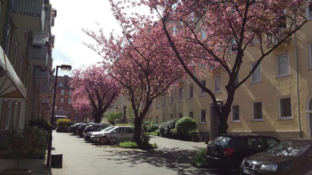 Квартира с 4 комнатами в Кассель, Германия № 318154