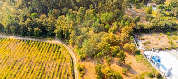 Casa T3 em Bico, Portugal N.º 180219 7