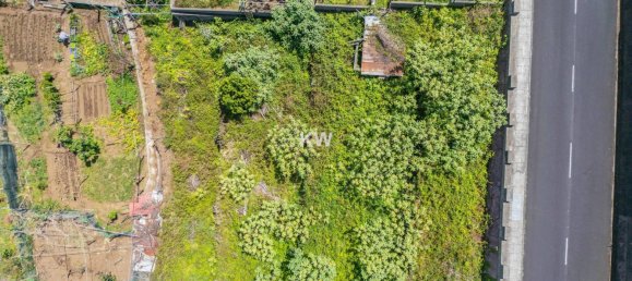 588m² Land in Sao Vicente, Portugal No. 79790 15