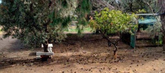 3 Schlafzimmer Villa in Lizzano, Italy, Nr. 85870 21