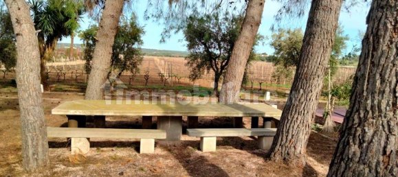 3 Schlafzimmer Villa in Lizzano, Italy, Nr. 85870 17