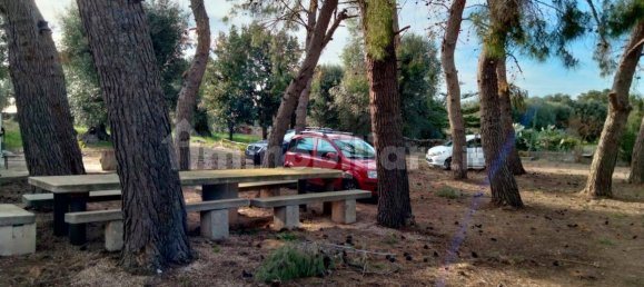 3 Schlafzimmer Villa in Lizzano, Italy, Nr. 85870 19