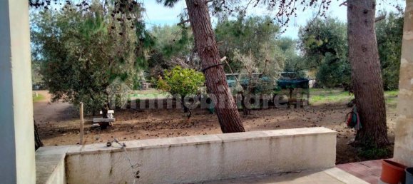 3 Schlafzimmer Villa in Lizzano, Italy, Nr. 85870 16