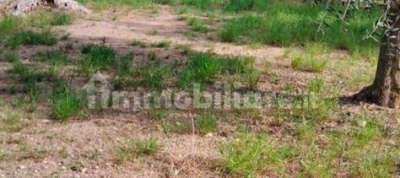 3 Schlafzimmer Villa in Lizzano, Italy, Nr. 85870 28