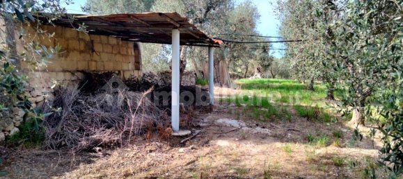 3 Schlafzimmer Villa in Lizzano, Italy, Nr. 85870 23