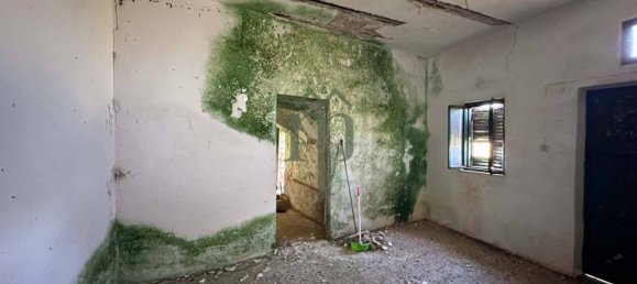 2-Zimmer Haus in Ostuni, Italy, Nr. 192848 19