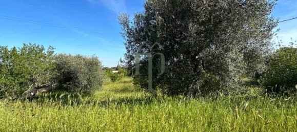 2-Zimmer Haus in Ostuni, Italy, Nr. 192848 17