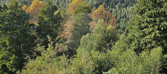2 Schlafzimmer Haus in Penafiel, Portugal, Nr. 28043 9