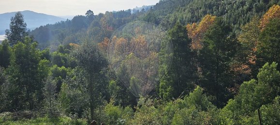 2 Schlafzimmer Haus in Penafiel, Portugal, Nr. 28043 5