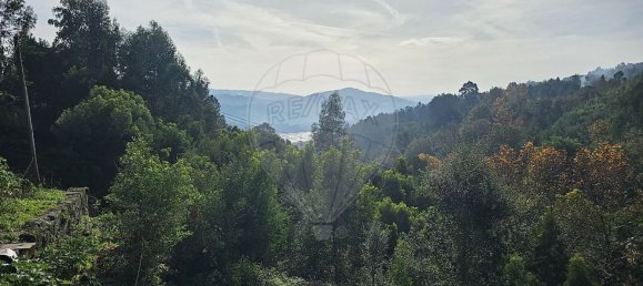 2 Schlafzimmer Haus in Penafiel, Portugal, Nr. 28043 3