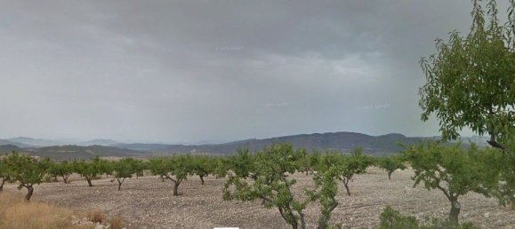  Land in Fuente Alamo, Spain No. 169899 2