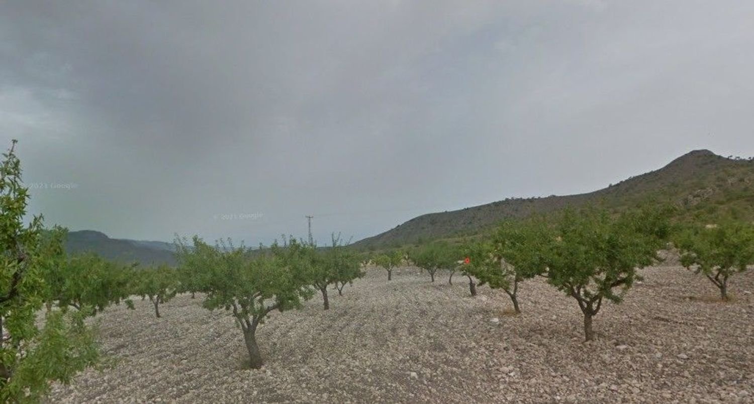  Land in Fuente Alamo, Spain No. 169899