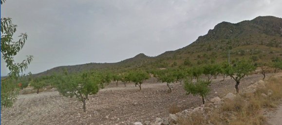  Land in Fuente Alamo, Spain No. 169899 6