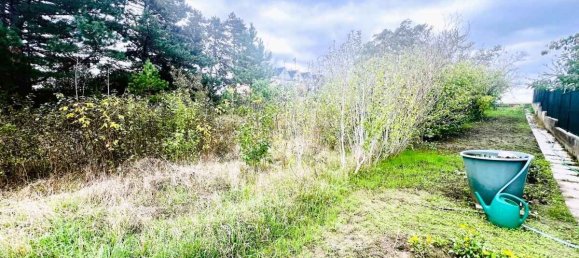  Land in Ganserndorf, Austria No. 201407 6