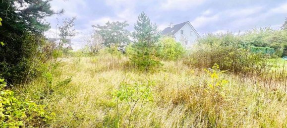  Land in Ganserndorf, Austria No. 201407 7