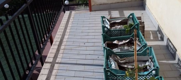 4 rooms Apartment in Amantea, Italy No. 254659 16