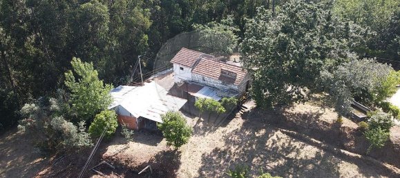 9 bedrooms House in Marco de Canaveses, Portugal No. 13256 3